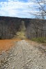 DSC_2833.JPG